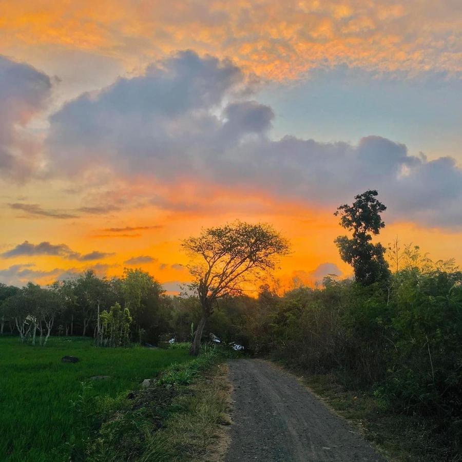 Tommy Homestay Plambi Ngoại thất bức ảnh