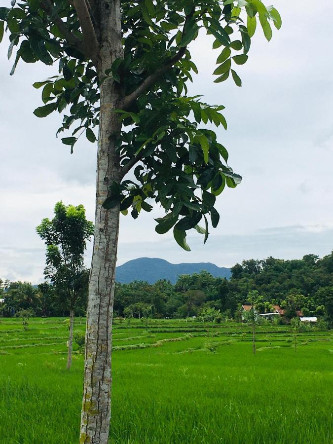Tommy Homestay Plambi Ngoại thất bức ảnh