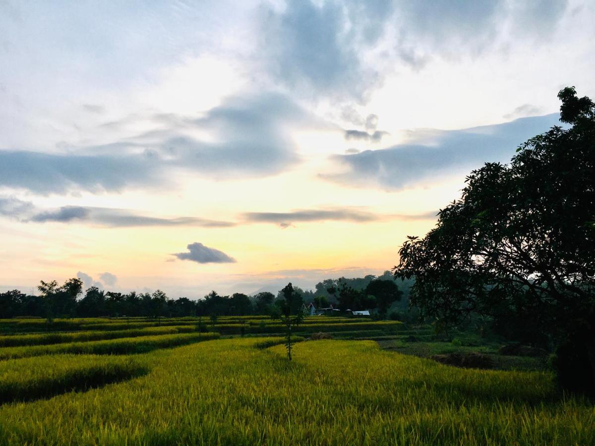 Tommy Homestay Plambi Ngoại thất bức ảnh