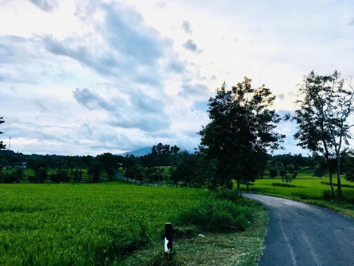 Tommy Homestay Plambi Ngoại thất bức ảnh