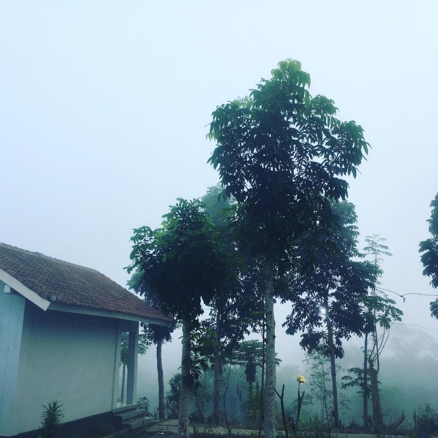 Tommy Homestay Plambi Ngoại thất bức ảnh