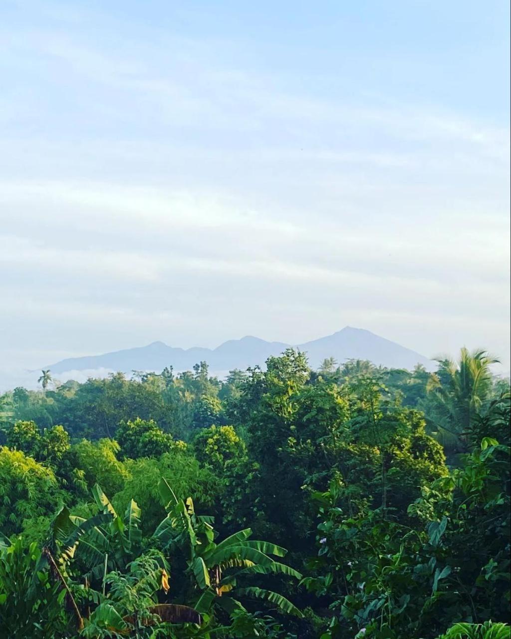 Tommy Homestay Plambi Ngoại thất bức ảnh