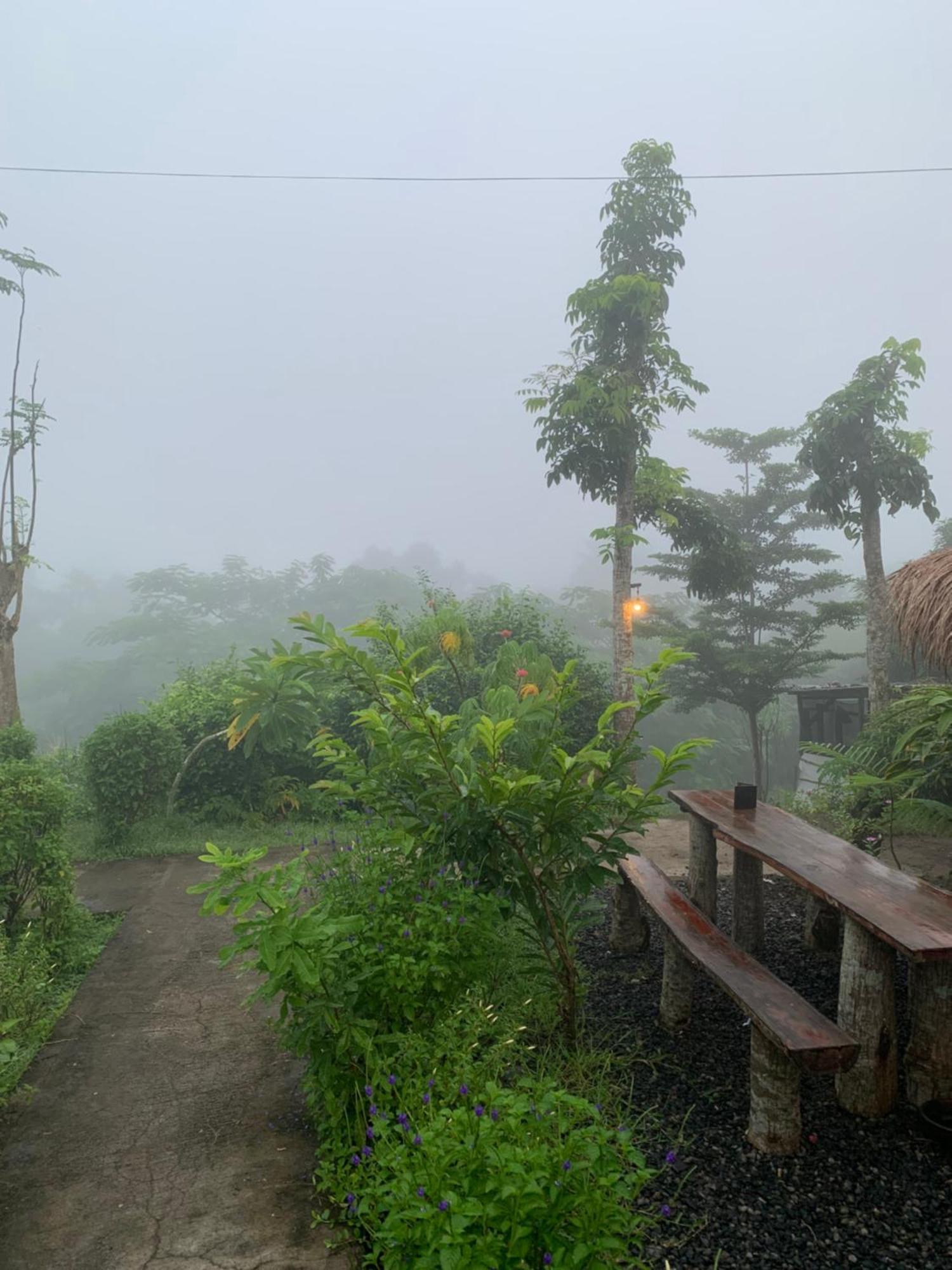 Tommy Homestay Plambi Ngoại thất bức ảnh