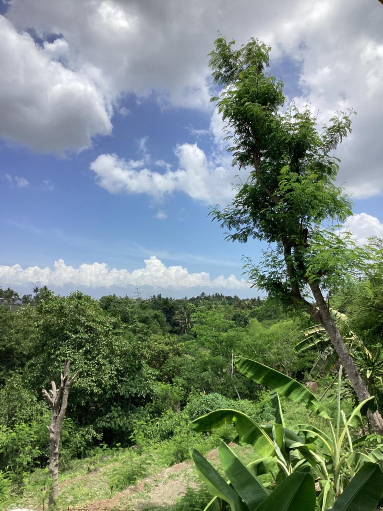 Tommy Homestay Plambi Ngoại thất bức ảnh