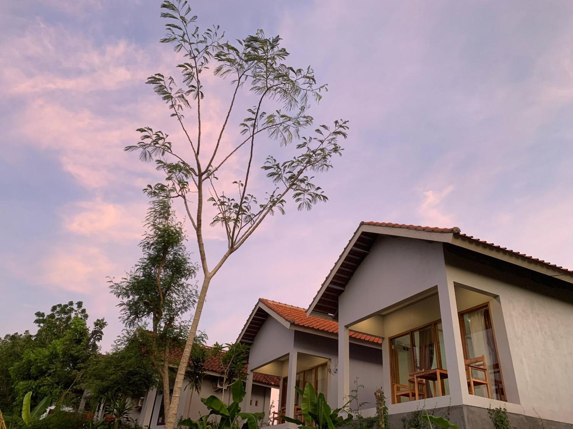 Tommy Homestay Plambi Ngoại thất bức ảnh